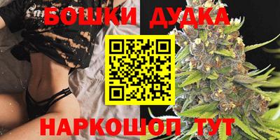 сатива Моздок