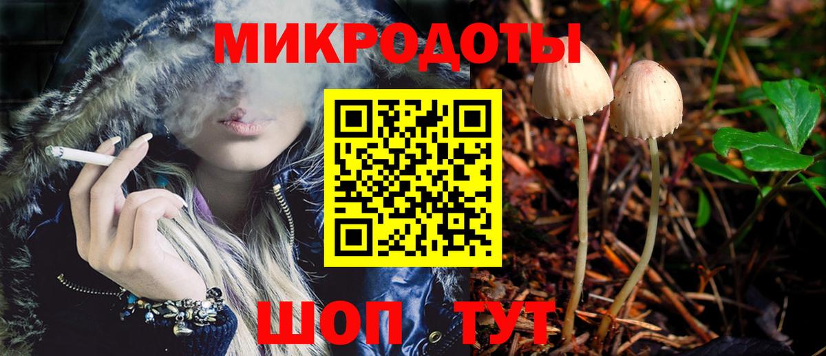 Псилоцибиновые грибы Psilocybe Георгиевск