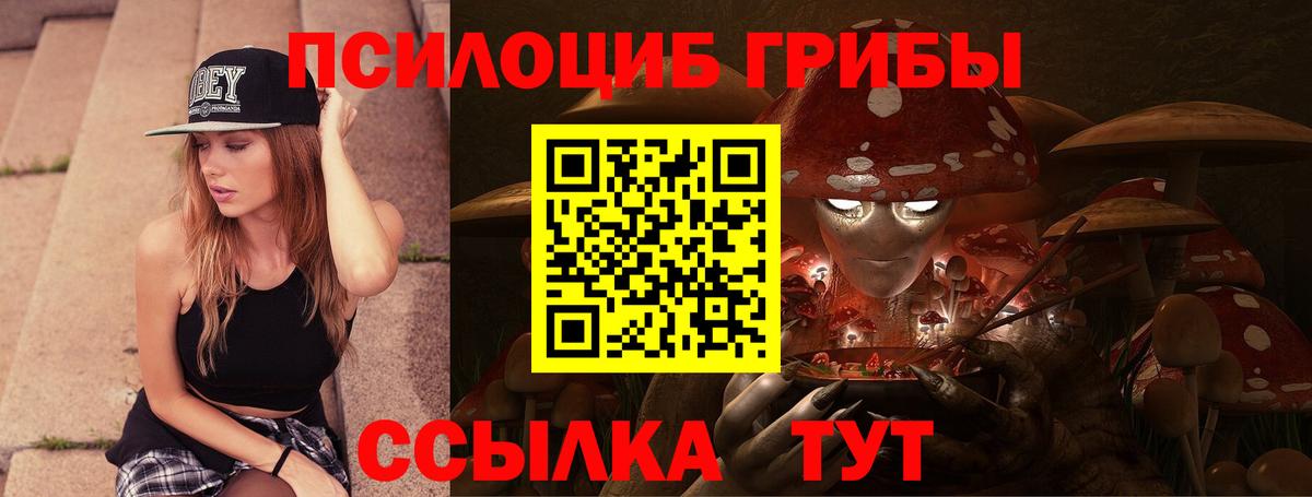 Георгиевск  Псилоцибиновые грибы ЛСД  Псилоцибиновые грибы Cubensis  Вход с VPN 